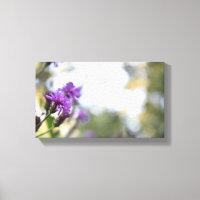 Purple Blumen Sommernaturfotografie