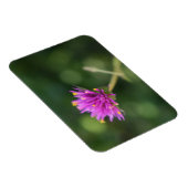 Purple Blumen Sommernaturfotografie Magnet (Rechte Seite)