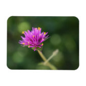 Purple Blumen Sommernaturfotografie Magnet (Horizontal)