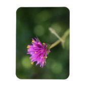 Purple Blumen Sommernaturfotografie Magnet (Vertikal)