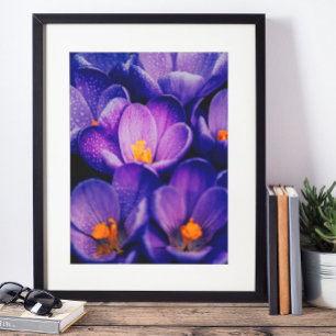 Purple Blumen Wall Art   Lila Lotus - Blume Poster