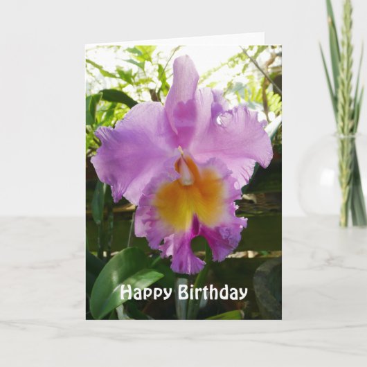 Purple Cattleya Orchid Tropical Flower Template Karte (Vorderseite)