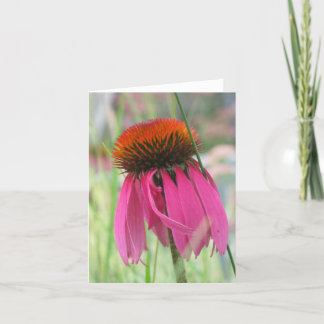 Purple Coneflower Note Card Karte