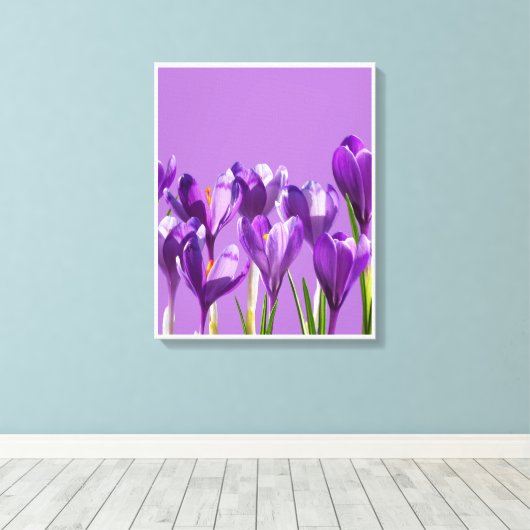 Purple Crocus Awakening Leinwanddruck (Insitu (Holzboden))