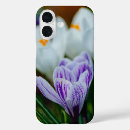 Purple Crocus Spring Flowers iPhone 16 Case