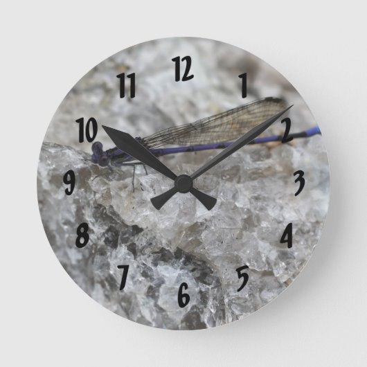 Purple Damsefly On Quartz Rock Natur Runde Wanduhr (Vorderseite)