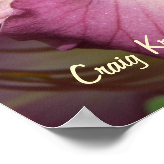 Purple Daylily Poster (Ecke)