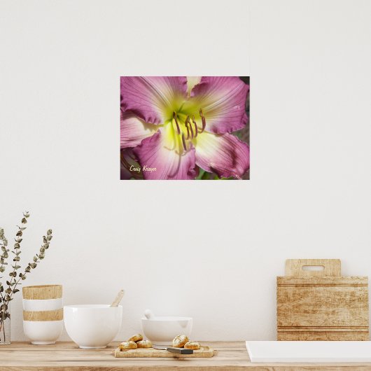 Purple Daylily Poster (Küche)
