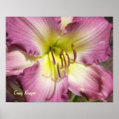 Purple Daylily Poster (Vorne)