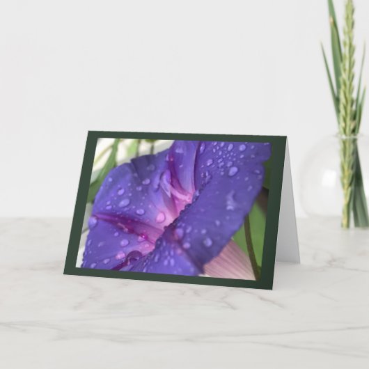 Purple Dewdrop Morning Glory Blank Karte (Vorderseite)