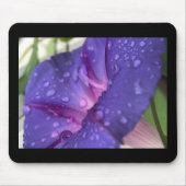 Purple Dewdrop Morning Glory Mousepad (Vorne)