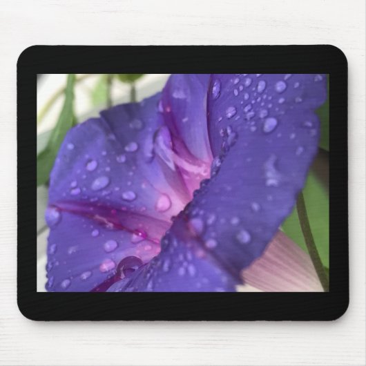 Purple Dewdrop Morning Glory Mousepad (Vorne)