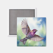 Purple Finch in flight Magnet (Vorderseite/Rückseite)