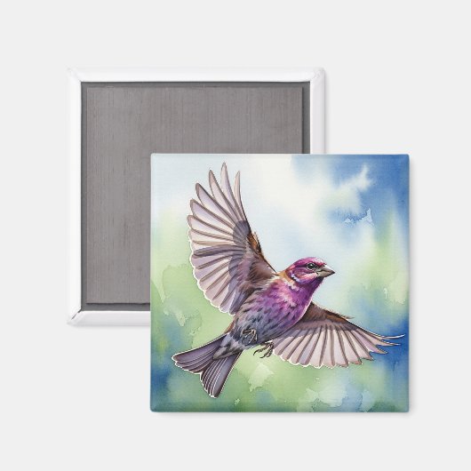 Purple Finch in flight Magnet (Vorderseite/Rückseite)