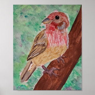 Purple Finch Poster
