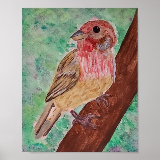 Purple Finch  Poster (Vorne)
