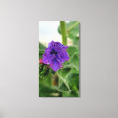 Purple flower spring flora collection leinwanddruck (Vorderseite)