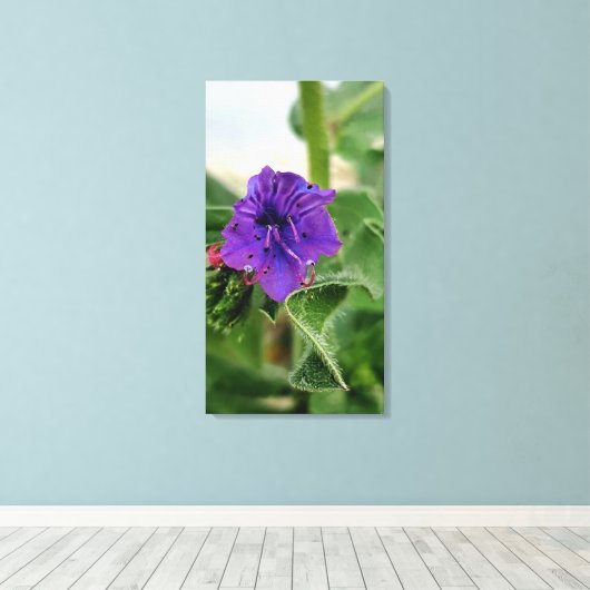 Purple flower spring flora collection leinwanddruck (Insitu (Holzboden))