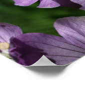 Purple Flowers Abstrakt Nature Poster (Ecke)