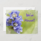 Purple Flowers Änderung der Ankündigung (Vorne/Hinten)