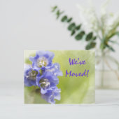 Purple Flowers Änderung der Ankündigung (Stehend Vorderseite)