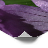 Purple Flowers Blues Digital Art Poster (Ecke)