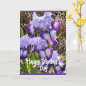 Purple Flowers Floral Iris Irises Mütter Day Card Karte (Gelbe Blume)