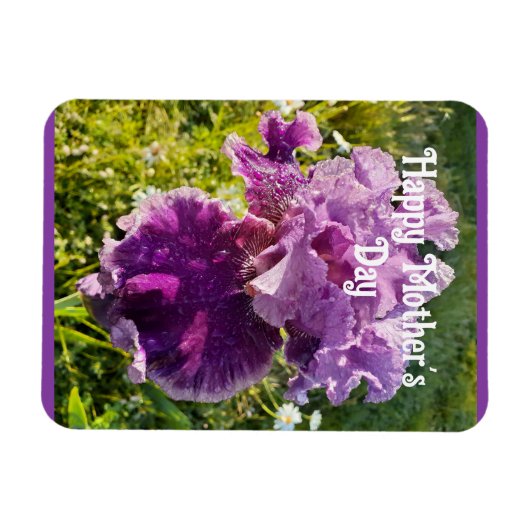 Purple Flowers Floral Iris Irises Mütter Day Card Magnet (Horizontal)