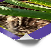 Purple Flowers Floral Iris Irises Mütter Day Card Poster (Ecke)