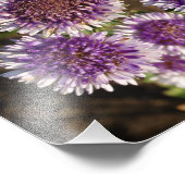 Purple Flowers Foto Kodak Foto Paper (Ecke)