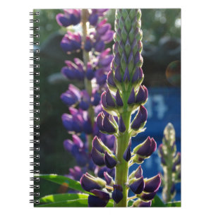 Purple Flowers Foto Notebook Notizblock
