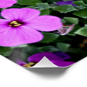 Purple Flowers Garden Poster (Ecke)