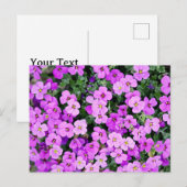 Purple Flowers Garden Postkarte (Vorne/Hinten)