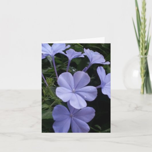 Purple Flowers - Karte (Vorderseite)