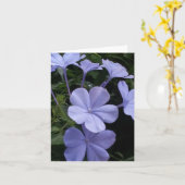 Purple Flowers - Karte (Gelbe Blume)