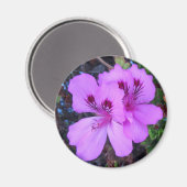 Purple Flowers Kitchen Magnet (Vorderseite/Rückseite)
