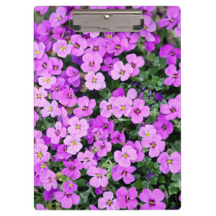 Purple Flowers Klemmbrett