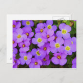 Purple Flowers Peace Liebe Destiny Postkarte (Vorne/Hinten)