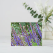 Purple flowers postcard postkarte (Stehend Vorderseite)