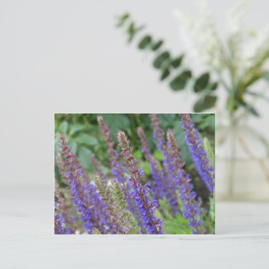 Purple  flowers postcard postkarte (Stehend Vorderseite)