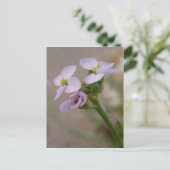 Purple Flowers Postcard Postkarte (Stehend Vorderseite)