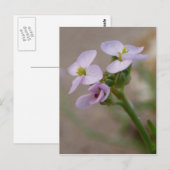 Purple Flowers Postcard Postkarte (Vorne/Hinten)