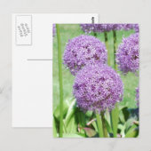 Purple Flowers Postcard Postkarte (Vorne/Hinten)