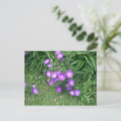 Purple Flowers Postcard Postkarte (Stehend Vorderseite)
