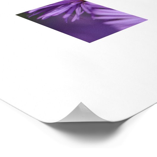 Purple Flowers Poster (Ecke)