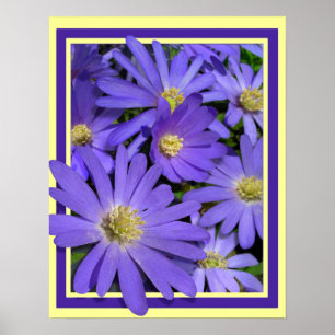 Purple Flowers Print Blue Daisis Art Poster