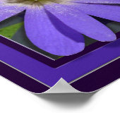 Purple Flowers Print Blue Daisis Art Poster (Ecke)