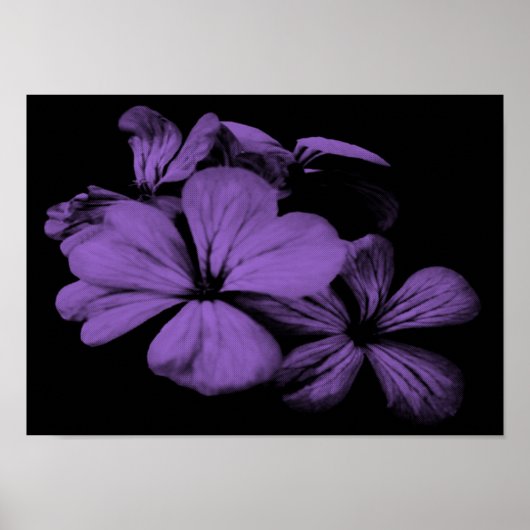 Purple Flowers Print Poster (Vorne)
