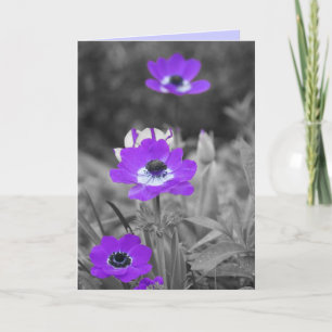 Purple Flowers Sympathie Card Karte