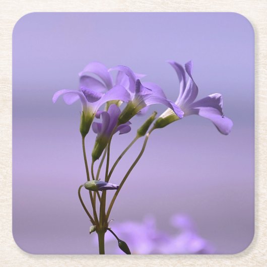 Purple Flowers Untersetzer (Vorderseite)